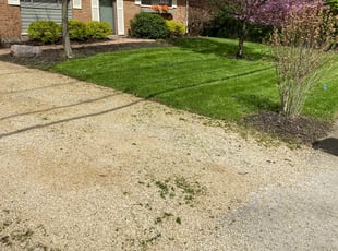 Bobby C.'s lawn maintenance service result