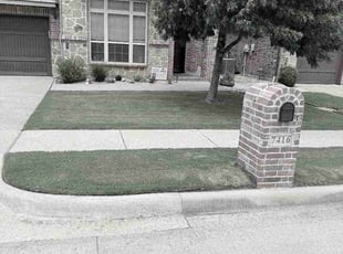 Hoang C.'s lawn maintenance service result