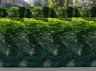 Brenda P.'s turf care service result