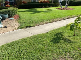 Joann H.'s turf maintenance service result