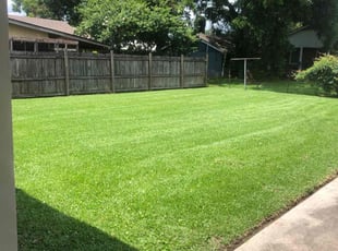 Grace H.'s turf maintenance service result