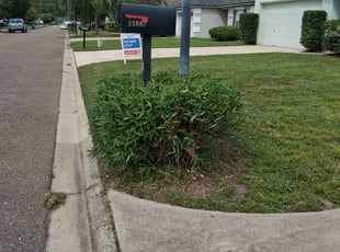 Gia S.'s lawn care services service result