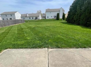 Shelia B.'s turf maintenance service result