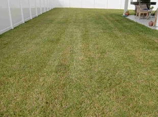 Jennifer K.'s lawn care services service result