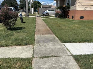 Lee P.'s grass cutting service result