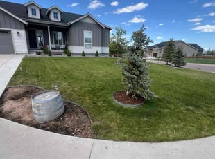 Brenda F.'s lawn maintenance service result