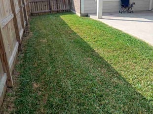 Leonard S.'s lawn maintenance service result