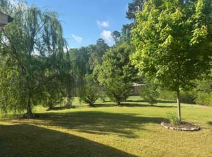Keith M.'s turf maintenance service result