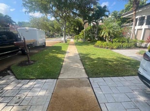 Latanya K.'s turf maintenance service result