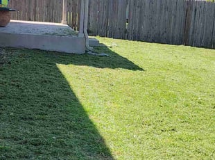 Pamela B.'s lawn maintenance service result