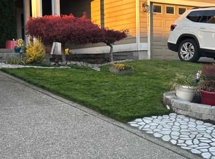 John R.'s Lawn Seeding service result