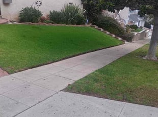 Brinton H.'s lawn service service result