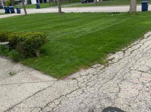 Tamara A.'s lawn care services service result