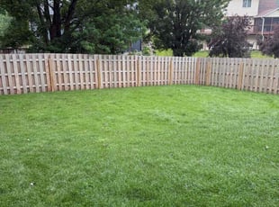 Tj M.'s lawn service service result