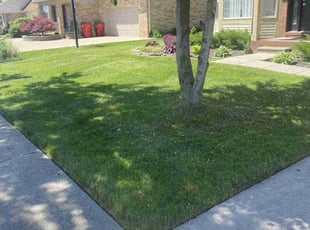 Honey S.'s lawn maintenance service result