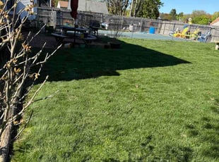 Amy R.'s lawn care services service result