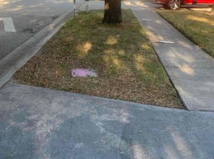 Don K.'s grass cutting service result