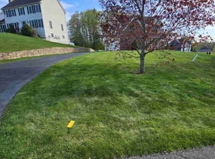 Kosal K.'s grass maintenance service result