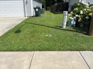 Ronald D.'s turf care service result