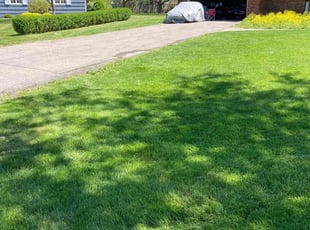 Larry U.'s turf care service result