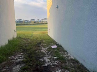 Jessie D.'s turf care service result