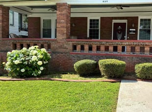 Lynny D.'s Bush Trimming service result