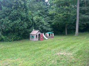 Melissa C.'s lawn care service result