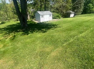 Gary R.'s lawn care services service result