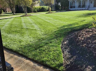 Amber B.'s lawn maintenance service result