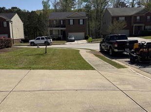 Tavia F.'s turf maintenance service result