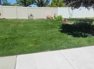 Vivian G.'s residential landscaping service result