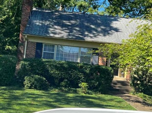 Dennis A.'s Bush Trimming service result