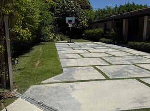 Thomas W.'s landscaping service result