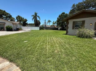 Daniel R.'s grass maintenance service result