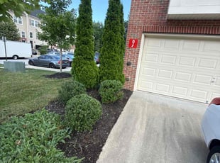 Lynn S.'s Bush Trimming service result