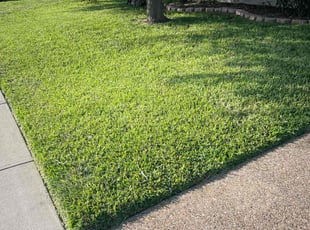 Lela G.'s grass cutting service result