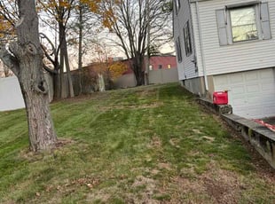 Andrew C.'s Leaf Removal service result