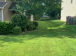 Libby L.'s grass maintenance service result
