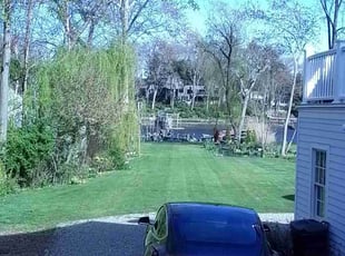 Terrina C.'s turf maintenance service result