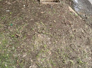 Rita B.'s Leaf Removal service result