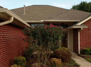 Ashley C.'s Bush Trimming service result
