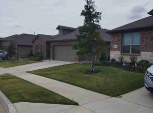 Mark F.'s lawn service service result