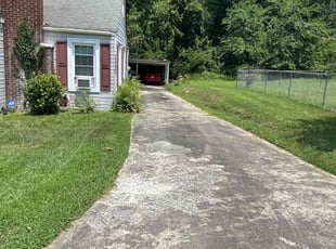 Sheylan P.'s lawn service service result
