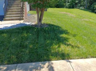 Becky S.'s lawn care service result