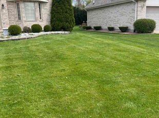 Christina M.'s lawn care services service result