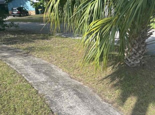Judy C.'s turf maintenance service result