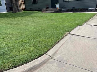 Shaun F.'s grass cutting service result