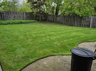 Jaylene S.'s grass maintenance service result