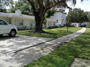 Micha M.'s Long Grass Cleanup service result