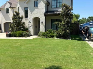 Kaneetra D.'s lawn maintenance service result